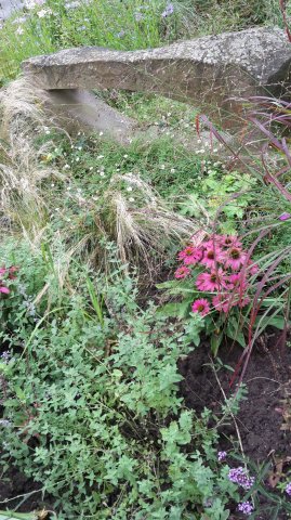 Landesgartenschau 2017